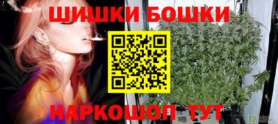 стафф Лесосибирск