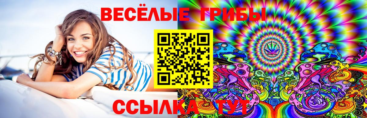 Галлюциногенные грибы Magic Shrooms  Вход с VPN  как найти   Губаха  Галлюциногенные грибы ЛСД 